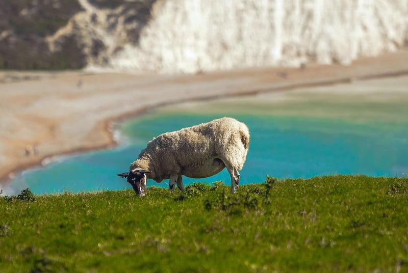 Seven Sisters Cliffs, England